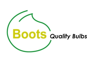 Boots Quality Bulbs