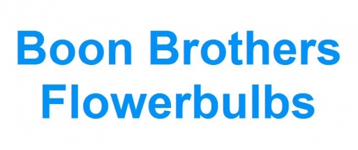 Boon Brothers Flowerbulbs