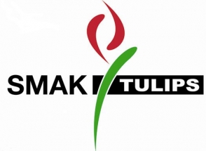 Smak Tulips