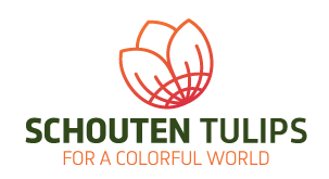 Schouten Tulips BV