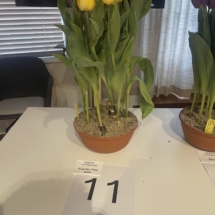 Barragepot 11 Fun for Two