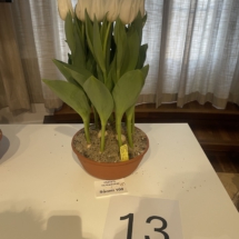 Barragepot 13 Suomi 100