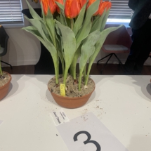 Pot 03 Good Times 65-60-60-65