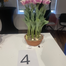 Pot 04 Hawaii 70-60-65-60