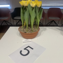 Pot 05 Secret Perfume 40-60-65-55