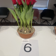 Pot 06 Invitation 60-60-70-65