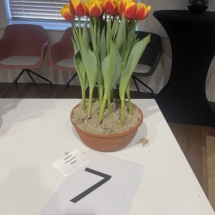 Pot 07 Shell 65-70-70-65