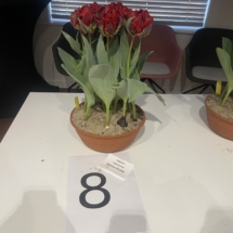 Pot 08 Rococo Double 45-65-65-60