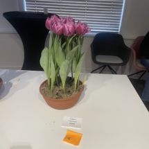 Voorbeeldpot 2 Sniper 45-60-60-55