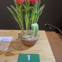 Pot 01 DJ Parrot 75-60-50-60