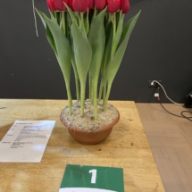 Pot 01 Hattrick 85-90-70-85