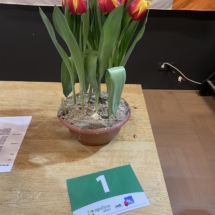 Pot 01 Residence 65-50-60-50