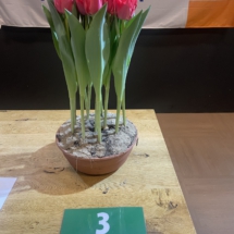 Pot 03 Double Twist 85-85-70-85