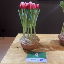 Pot 04 Outfit 75-80-80-80