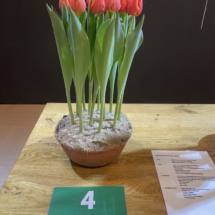 Pot 04 Time Out 75-80-75-80