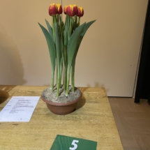 Pot 05 Rambo 95-70-65-70