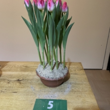 Pot 05 Sky City 95-65-65-75