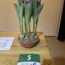 Pot 05 Tresor 85-75-80-80