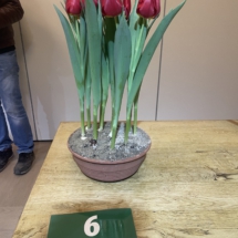 Pot 06 Red Stone 60-60-60-60