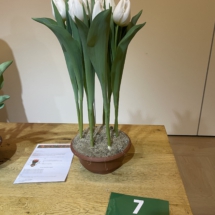 Pot 07 Snow White 95-65-50-70