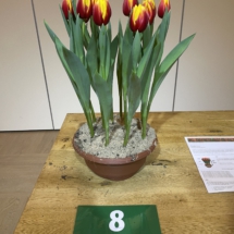 Pot 08 Andre Citroen 65-50-50-50