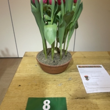 Pot 08 Curry 65-45-65-45