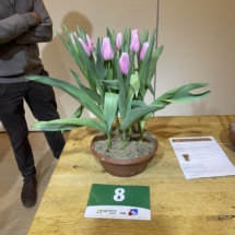 Pot 08 Gabrielle 45-30-70-35