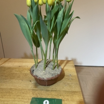 Pot 09 Dubbel Geel 90-55-75-60