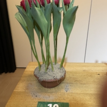 Pot 10 Reset 90-65-50-60