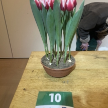 Pot 10 Timeless 60-70-80-70