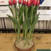 Voorbeeldpot 90-70-60-70