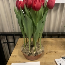 Voorbeeldpot Hotspot 85-70-60-70