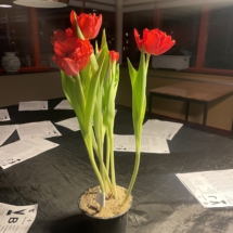 10e Lars Mes 10e Lars Mes