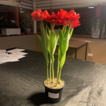 1e Marco Haakman 1e Marco Haakman