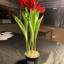 2e Lucas Uitendaal 2e Lucas Uitendaal