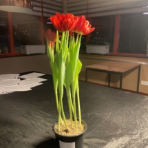 9e Anna Schouten 9e Anna Schouten