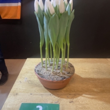 Pot 02 MCTB 20-64 85-90-70-80