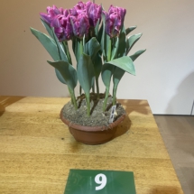 Pot 09 Bon Apetite 65-70-65-70