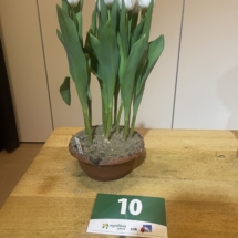 Pot 10 Sensation White 70-70-60-70