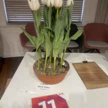 Barragepot 11 Silver Dollar 70-45-60-55