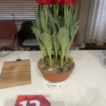 Barragepot 12 First Date 50-65-75-65