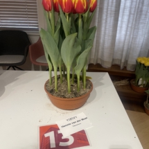 Barragepot 13 Hennie van der Most 70-65-70-70