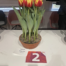 Pot 02 China Girl 60-70-70-70