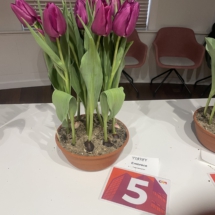 Pot 05 Embrace 70-55-60-55