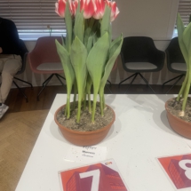 Pot 07 Marero 65-75-60-70