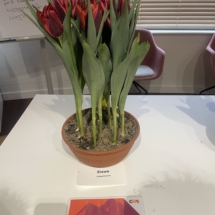 Voorbeeldpot Slawa 65-75-60-60